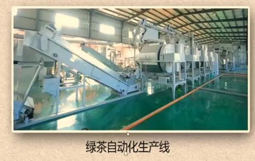 陳宗懋 茶讓世界更美好,讓人類更健康