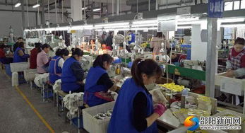 高質(zhì)量推動快發(fā)展 邵陽洞口經(jīng)濟(jì)開發(fā)區(qū)實(shí)現(xiàn)高效推進(jìn)