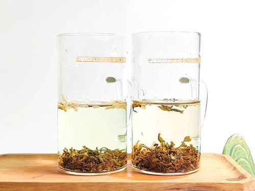 炒青與烘青茉莉花茶的對比,三萬昌碧螺茉莉?qū)Ρ烫讹h雪特級(jí)茉莉